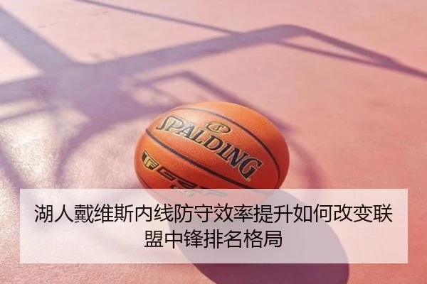 湖人戴维斯内线防守效率提升如何改变联盟中锋排名格局