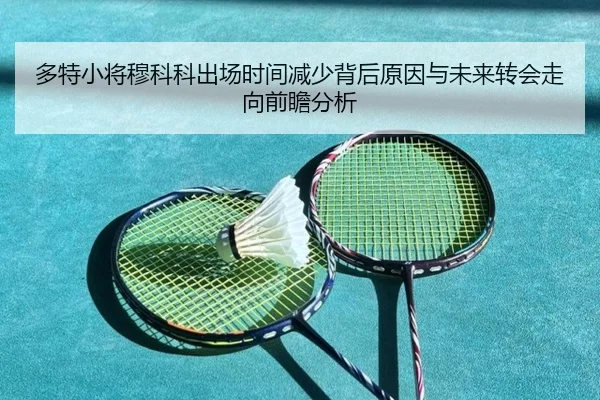 多特小将穆科科出场时间减少背后原因与未来转会走向前瞻分析