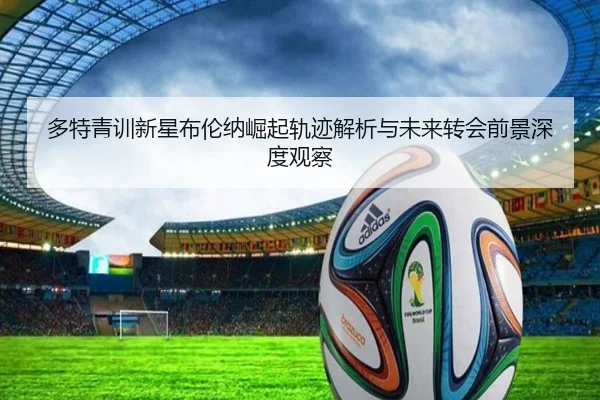多特青训新星布伦纳崛起轨迹解析与未来转会前景深度观察