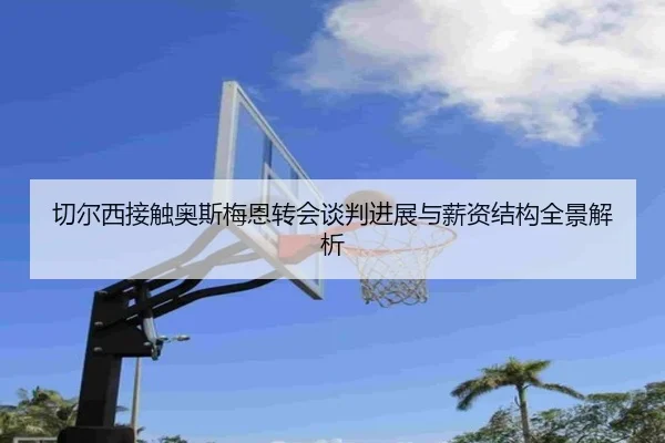 切尔西接触奥斯梅恩转会谈判进展与薪资结构全景解析