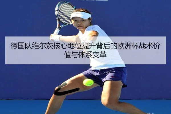de-guo-dui-wei-er-ci-he-xin-di-wei-ti-sheng-bei-hou-de-ou-zhou-bei-zhan-shu-jia-zhi-yu-ti-xi-bian-ge-2-282.jpg