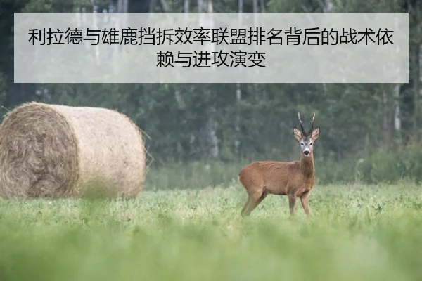 利拉德与雄鹿挡拆效率联盟排名背后的战术依赖与进攻演变