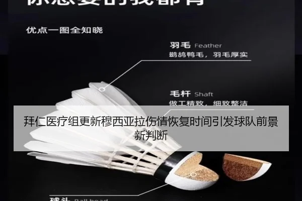 拜仁医疗组更新穆西亚拉伤情恢复时间引发球队前景新判断