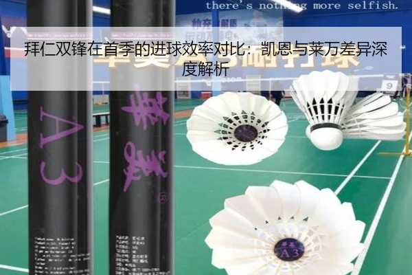 拜仁双锋在首季的进球效率对比：凯恩与莱万差异深度解析
