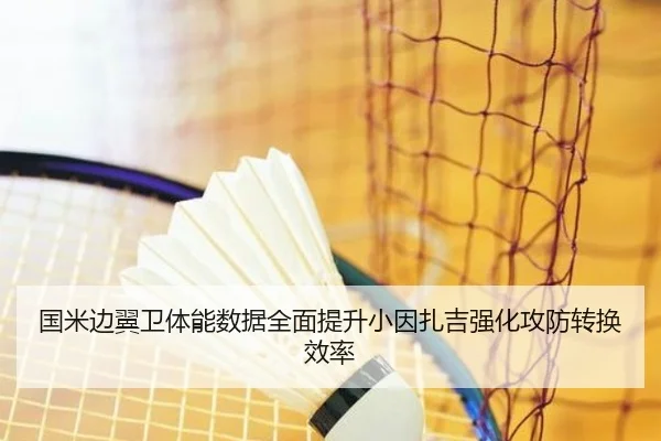 国米边翼卫体能数据全面提升小因扎吉强化攻防转换效率